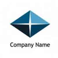 Company Logo 2